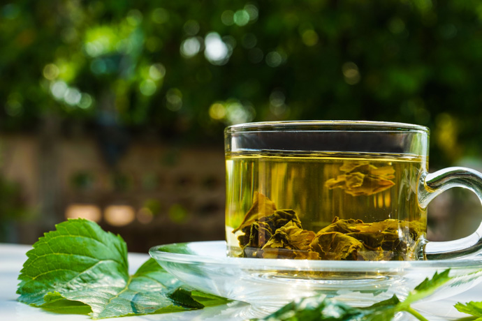 Infusión de hojas de moras.